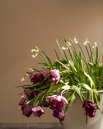 Painted walls with Chowning's Tan CW-195